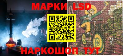 дмт Сланцы