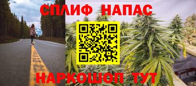 дмт Сланцы