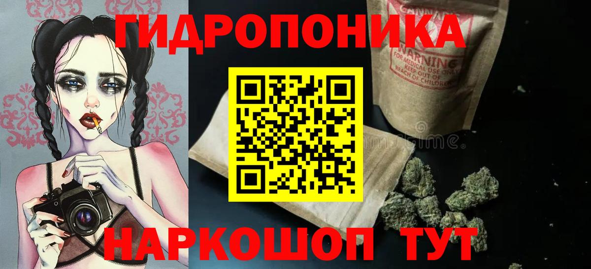 Шишки марихуана план  Конопля MAZAR  Новозыбков  Вход с VPN 